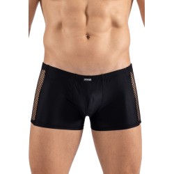 Boxer noir Daring 
