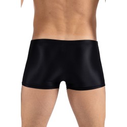 Boxer noir Daring 
