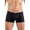 Boxer noir  gold Zebra 