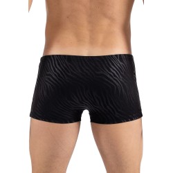 Boxer noir  gold Zebra 