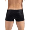 Boxer noir  gold Zebra 
