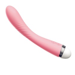 Vibromasseur rose vintage 10 vitesse USB 