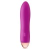 Vibromasseur rose lisse 7 vitesses USB 