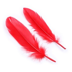 Kit coquin 4 pièces : Menottes, 2 plumes et masque rouge 