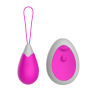 Œuf Vibrant Télécommandé 10 Modes Fuchsia  1 dosette de lubrifiant — Pocket Pleasure