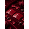 Nipple Métal rouge Cache tétons carré