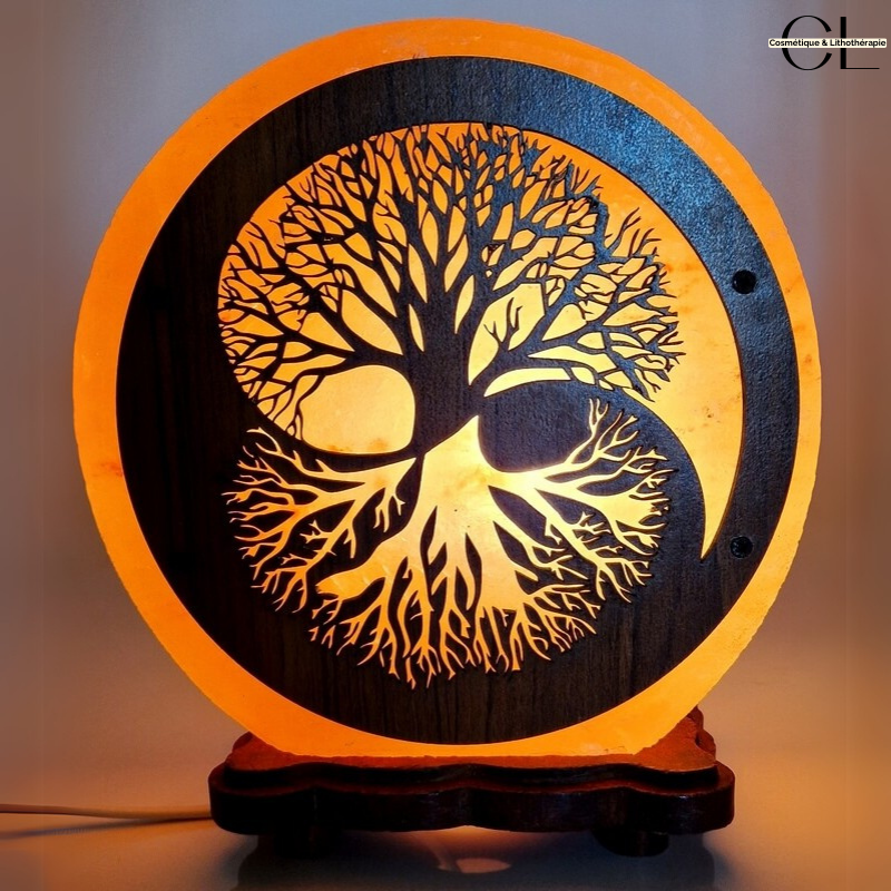 Lampe de sel d'Himalaya Arbre de Vie Yin-Yang 5KG