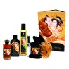 SHUNGA Ensemble doux baisers à partager à deux 