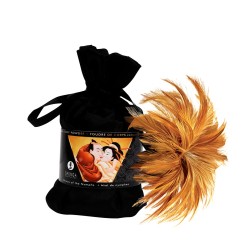SHUNGA Ensemble doux baisers à partager à deux 