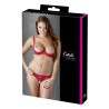 Soutien-gorge demi seins avec armatures et son string ouvert 