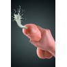 Gode ventouse réaliste éjaculateur 21,5 cm 
