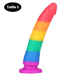 Gode ventouse multicouleur taille S 