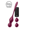 Boules de geisha vibrantes Satisfyer Love Birds Vary 