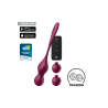 Boules de geisha vibrantes Satisfyer Love Birds Vary 