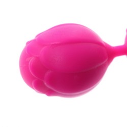 Boules de Geisha Rose silicone 