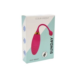 SUNDAY, Un Œuf vibrant USB avec télécommande, dans un silicone médical doux et rainuré 