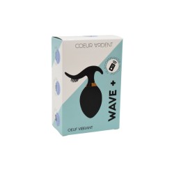 WAVE , Un Œuf vibrant noir USB avec stimulation clitoridienne, doté d'une télécommande 