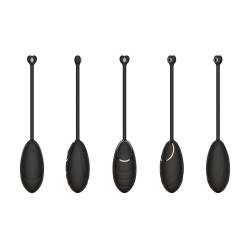 Œuf vibrant noir avec télécommande USB 