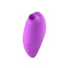 2en1 Stimulateur clitoridien à picots par aspiration avec son œuf vibrant à distance violet 