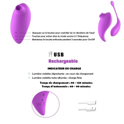 2en1 Stimulateur clitoridien à picots par aspiration avec son œuf vibrant à distance violet 
