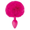 Plug anal pompon fuschia 