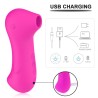 Stimulateur clitoridien par une vibration par membrane  USB Fushia 
