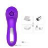 Stimulateur succion de clitoris et tétons USB violet 
