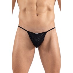 String noir  gold Zebra 