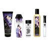 Coffret collection plaisirs charnels 5 produits Shunga  un collier de perles 