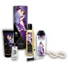 Coffret collection plaisirs charnels 5 produits Shunga  un collier de perles 