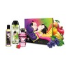 Coffret Baisers Fruités Shunga 3 produits 