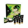 Coffret de Geisha Bio thé vert 